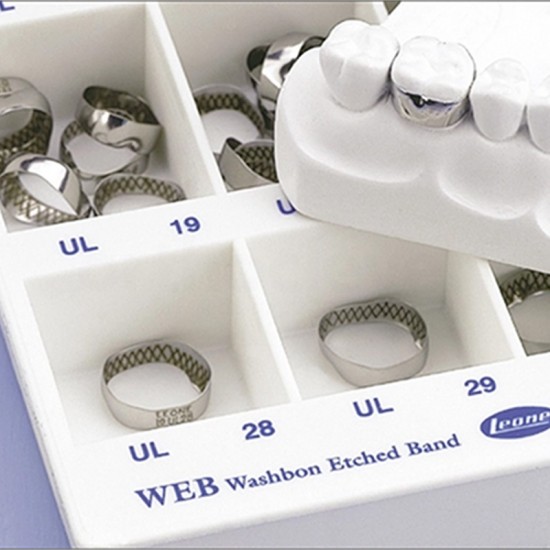 Web Anatomical Bands...